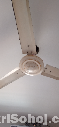 Ceiling Fan